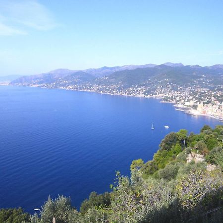 Portofino Mountain Unique Love Nest San Rocco  Bagian luar foto