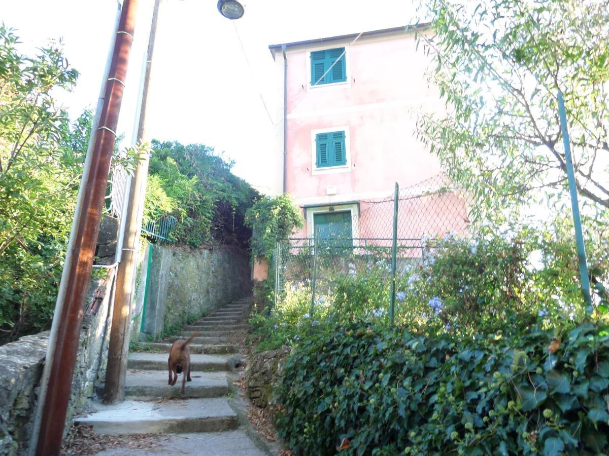 Portofino Mountain Unique Love Nest San Rocco  Bagian luar foto
